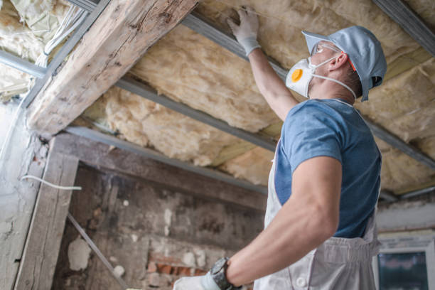 Types of Insulation We Offer in El Rio, CA