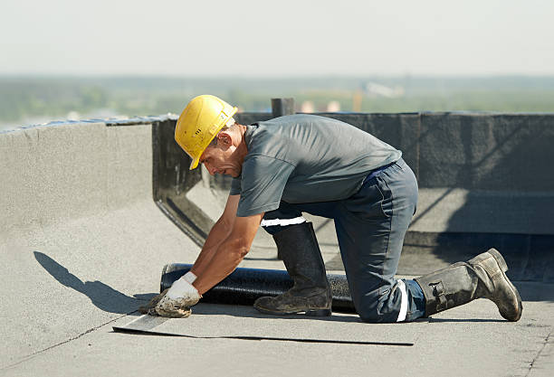 Best Specialized Insulation Services in El Rio, CA